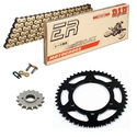 SUZUKI RM 125 88-91 MX Gold Chain Kit