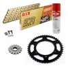 Sprockets & Chain Kit DID 520ERVT Gold HONDA CR 125 04-07